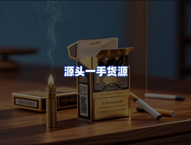 专业团队